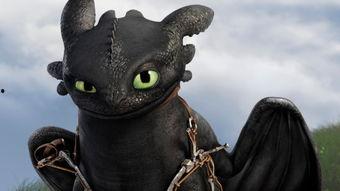 小来哥爆料迅猛龙视频,迅猛龙惊现神秘视频，揭秘恐龙世界新篇章