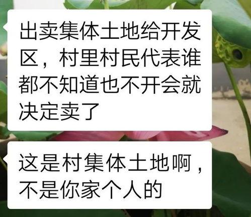 爆料视频集体土地  第2张